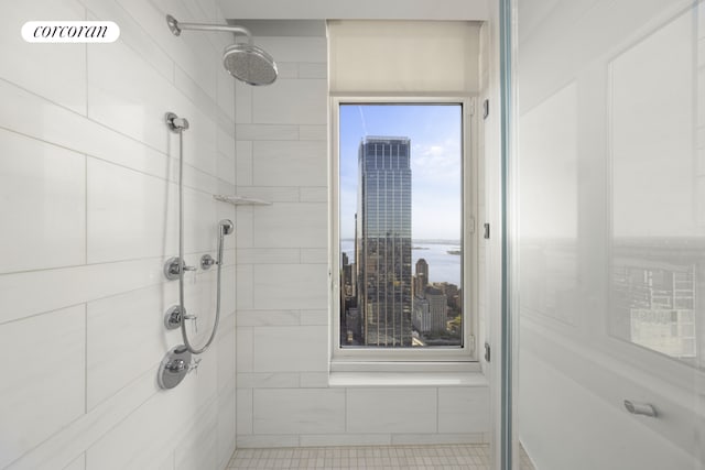 30 Park Pl Unit 68A, New York City, NY 10007 - bathroom with a tile shower and a water view