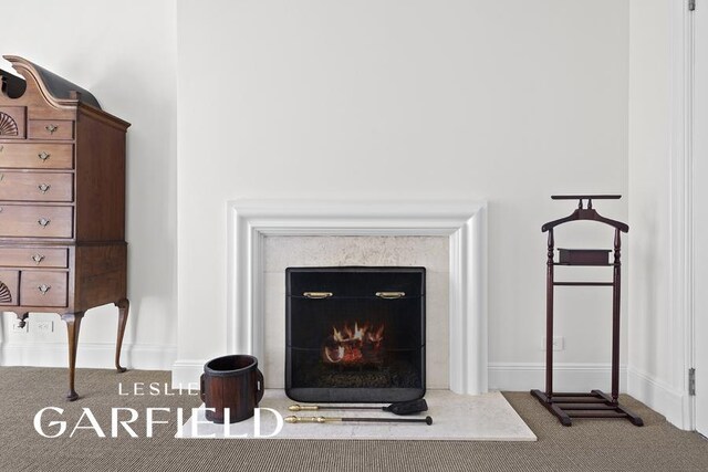 15 Sutton Place, New York City, NY 10022 - detailed view of carpet flooring, a warm lit fireplace, and baseboards