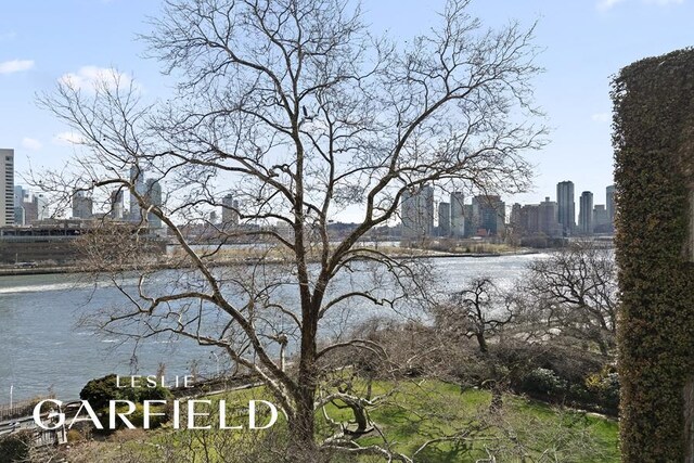 15 Sutton Place, New York City, NY 10022 - water view featuring a view of skyline