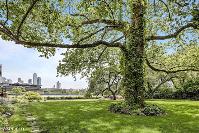 15 Sutton Place, New York City, NY 10022 - surrounding community with a view of skyline, a yard, and a water view