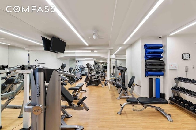 workout area featuring wood finished floors