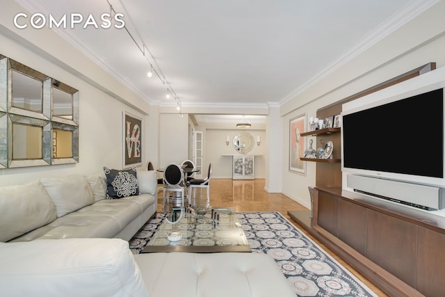 living area with rail lighting, crown molding, baseboards, and light wood-style flooring