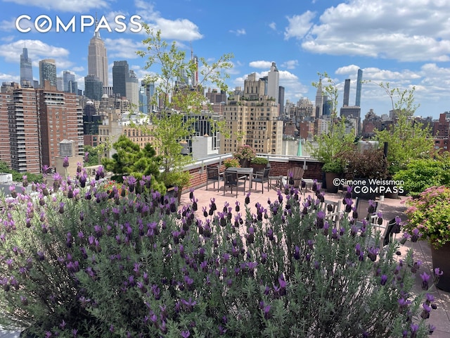 360 W 22nd St Unit 12B, New York City, NY 10011 - skyline view