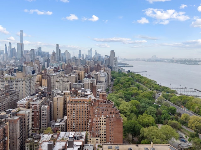 bird's eye view of a skyline view and a large body of water