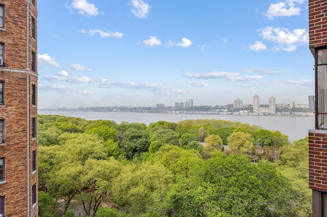 water view featuring nearby urban area