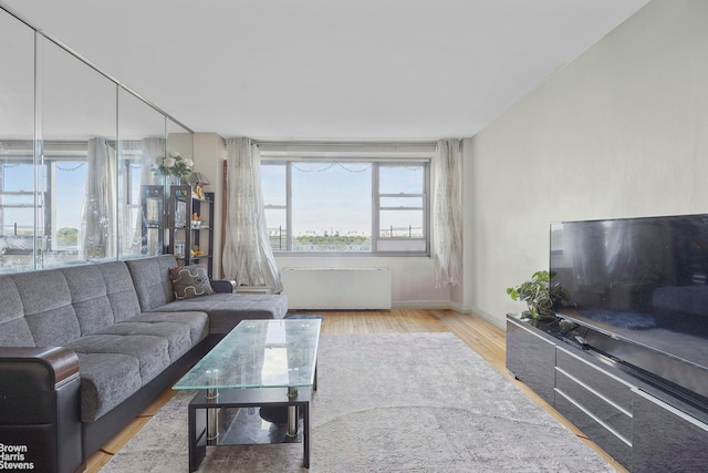 living room with wood finished floors and baseboards