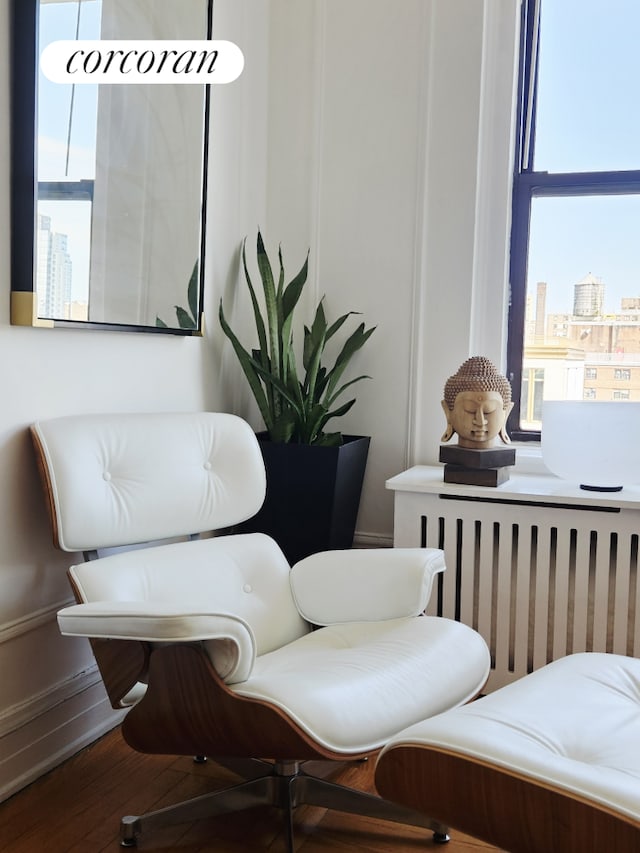 235 W 102nd St Unit 17F, New York City, NY 10025 - living area featuring healthy amount of natural light, wood finished floors, and a city view