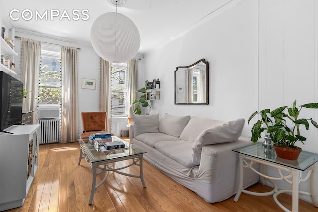139 N 8th St, New York City, NY 11249 - living room with radiator, light wood-type flooring, and ornamental molding
