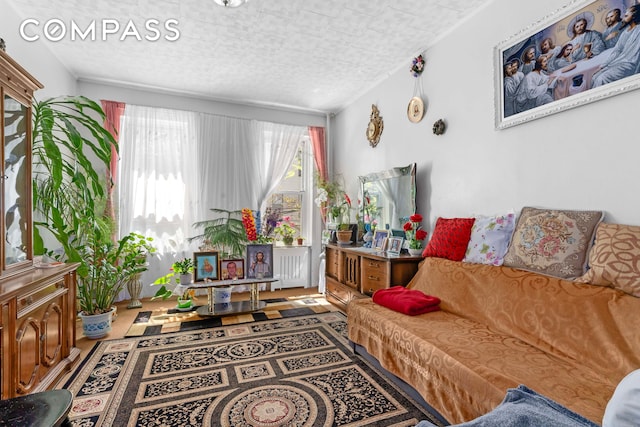 139 N 8th St, New York City, NY 11249 - view of living room