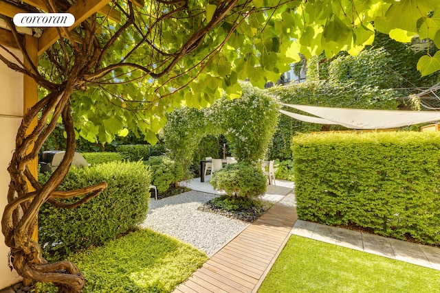 320 State St Unit 1, New York City, NY 11201 - view of property's community