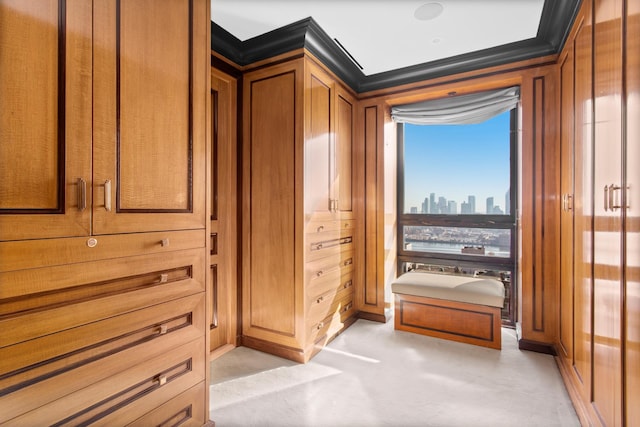 415 E 54th St Unit 25Gg, New York City, NY 10022 - bathroom with a skyline view