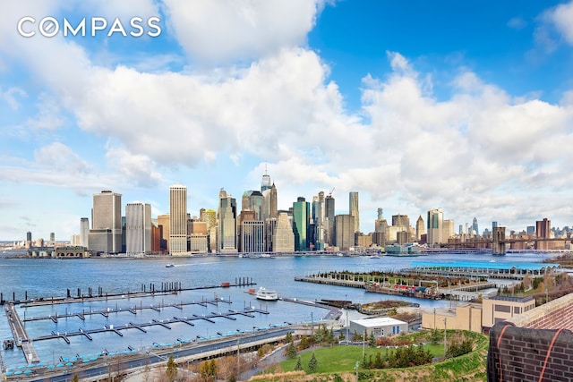 water view featuring a skyline view and numerous boat docks