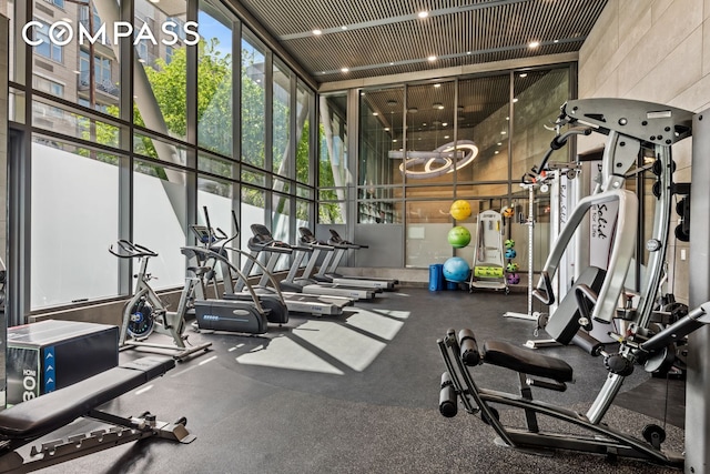 workout area featuring a towering ceiling and plenty of natural light