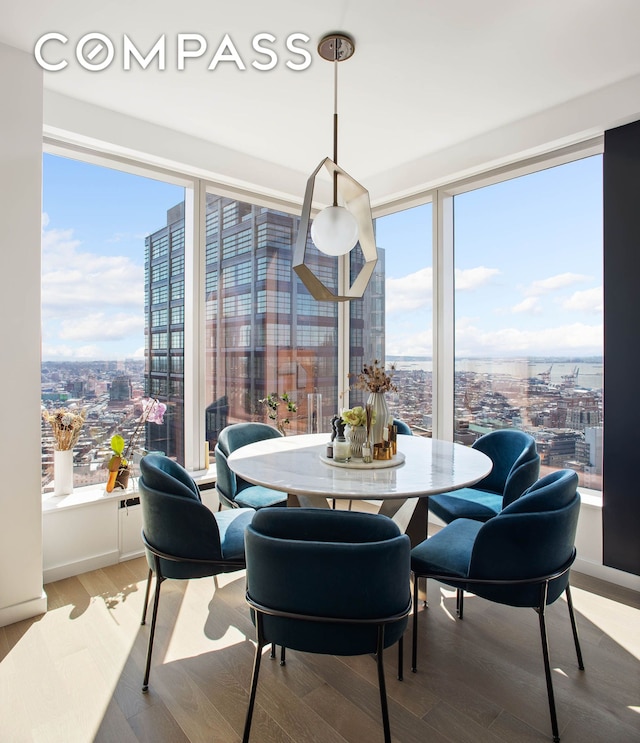 dining room featuring a view of city, healthy amount of natural light, and wood finished floors