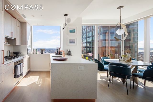 kitchen featuring appliances with stainless steel finishes, light wood-style flooring, light countertops, decorative light fixtures, and a sink