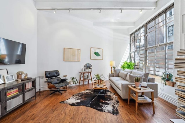 living area featuring track lighting, wood finished floors, and baseboards