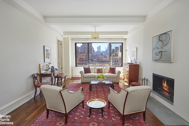 living area with wood finished floors, a warm lit fireplace, baseboards, and a skyline view