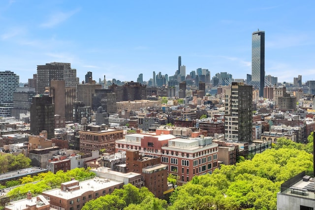 215 Chrystie St Unit 27East, New York City, NY 10002 - skyline view