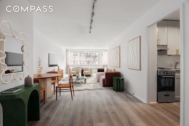 sitting room with wood finished floors, track lighting, and baseboards