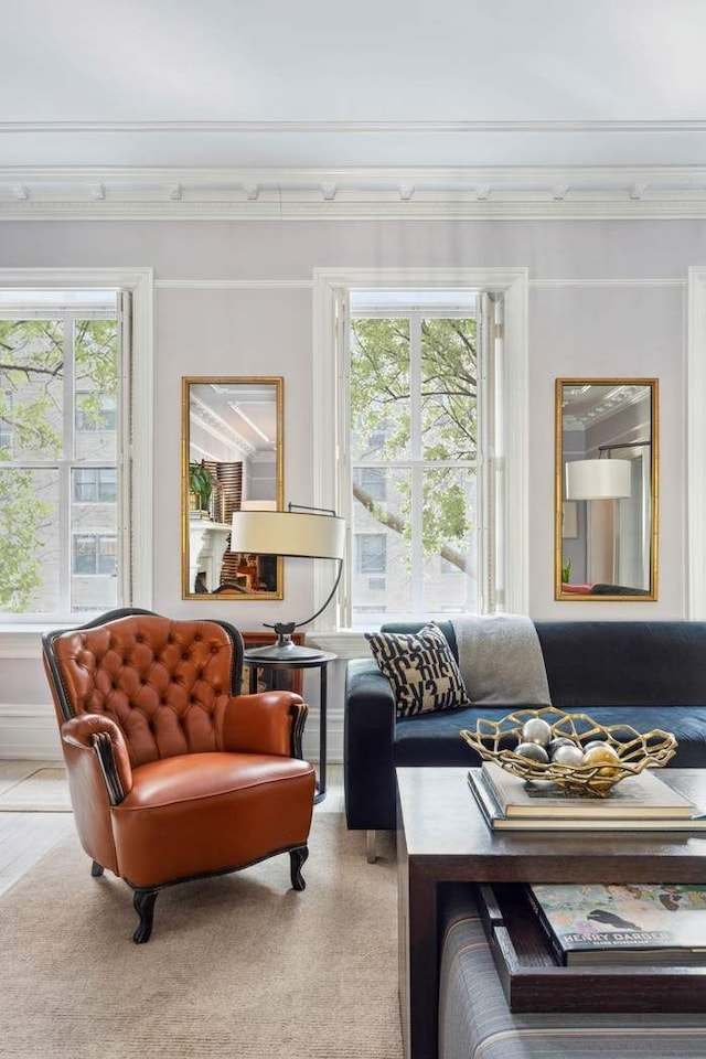 149 E 18th St Unit 2, New York City, NY 10003 - living room with crown molding