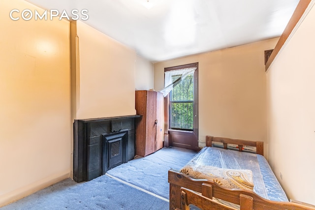 1274 Herkimer St, New York City, NY 11233 - carpeted bedroom with a wood stove