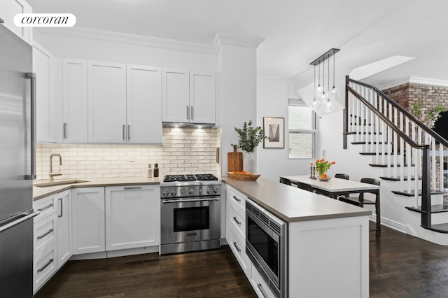 kitchen with appliances with stainless steel finishes, a sink, a peninsula, ornamental molding, and dark wood-style flooring
