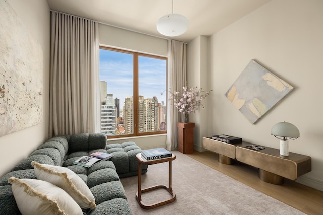 living area featuring wood finished floors and a skyline view