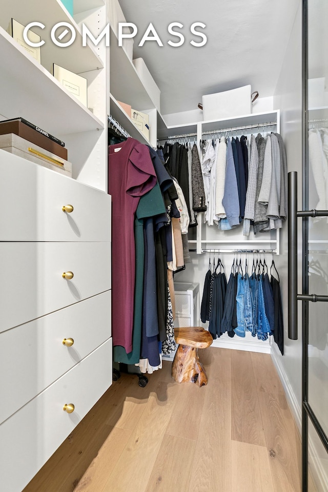 spacious closet featuring wood finished floors