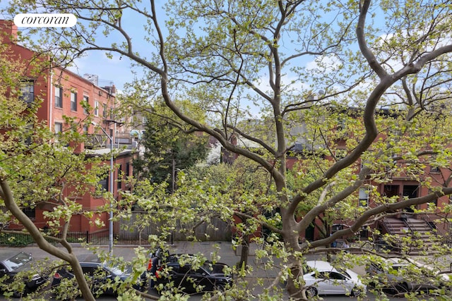 157 Kane St Unit 3, New York City, NY 11231 - view of yard