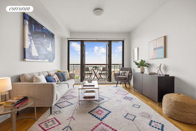 500 4th Ave Unit 10I, New York City, NY 11215 - living room featuring wood finished floors