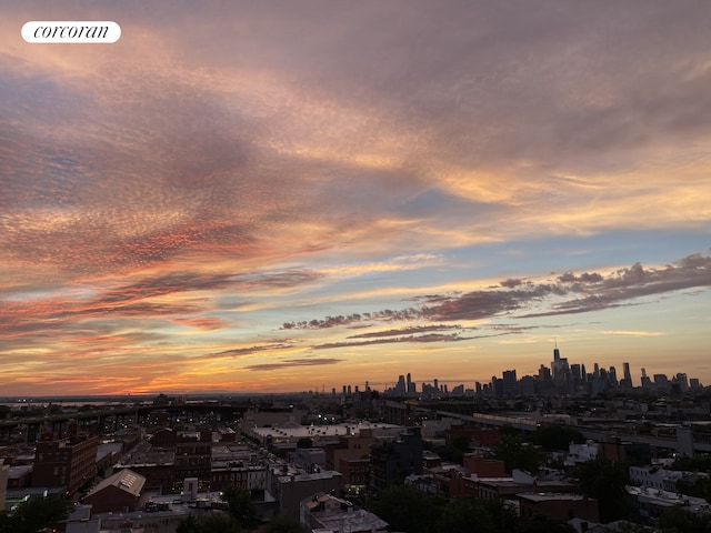 500 4th Ave Unit 10I, New York City, NY 11215 - city view