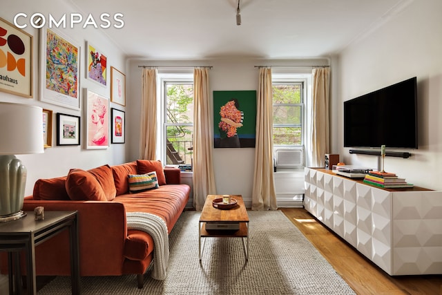 30 Clinton St Unit 1E, New York City, NY 11201 - living area with light wood-style flooring, plenty of natural light, and cooling unit