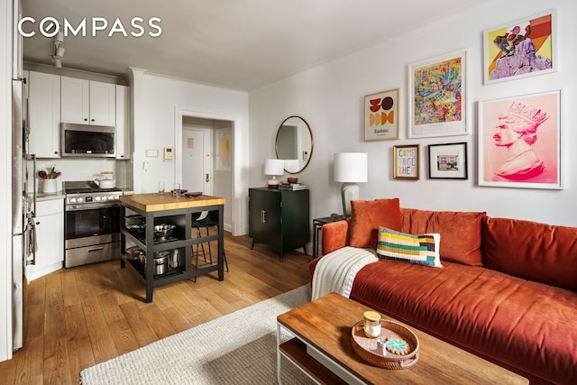 30 Clinton St Unit 1E, New York City, NY 11201 - living area featuring light wood-type flooring