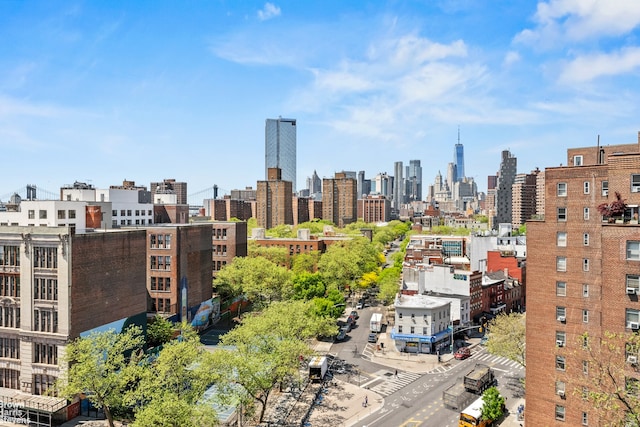 550 Grand St Unit G11D, New York City, NY 10002 - skyline view