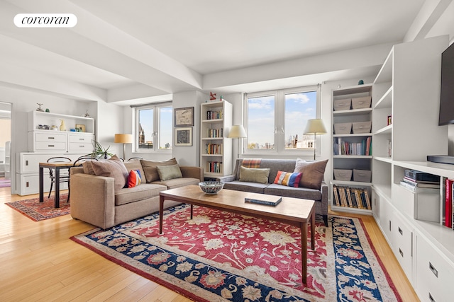 145 Park Pl Unit 5E, New York City, NY 11217 - living room featuring light wood-style floors