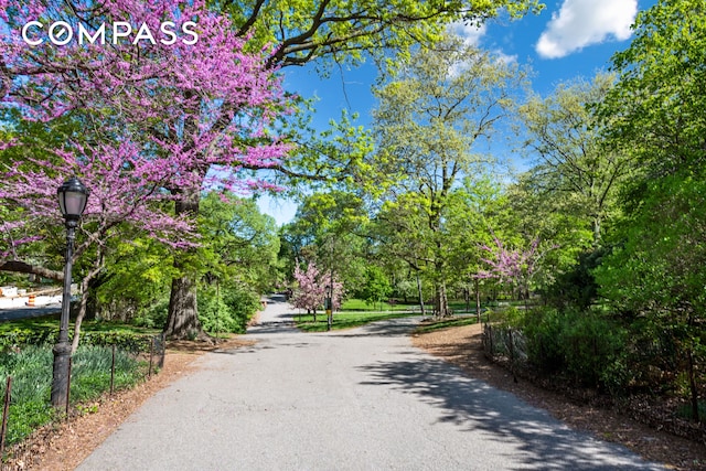 67 Riverside Dr Unit 1A, New York City, NY 10024 - view of asphalt street with street lights