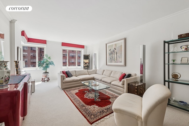 living area with carpet and ornamental molding