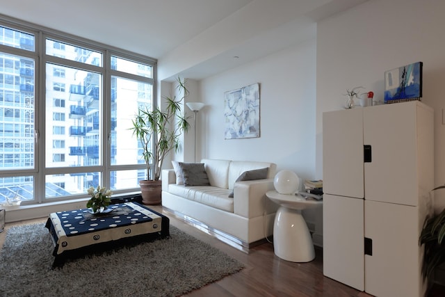 living room with wood finished floors