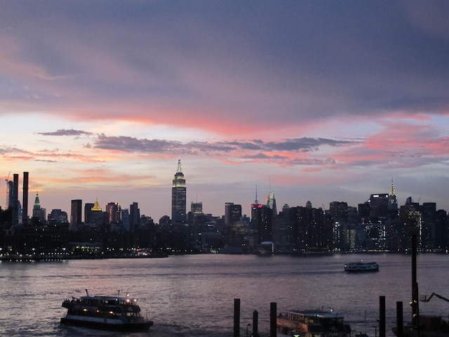 water view featuring a skyline view