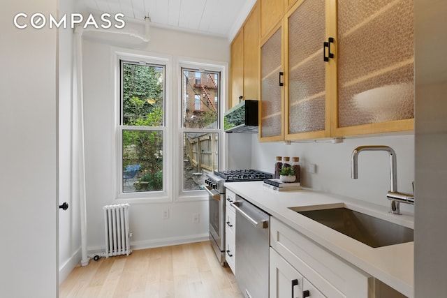 152 N 9th St Unit 1R, New York City, NY 11249 - kitchen with radiator, stainless steel appliances, a sink, light wood finished floors, and light countertops