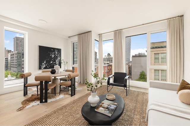 684 Dean St Unit 4, New York City, NY 11238 - living area with a view of city and light wood finished floors