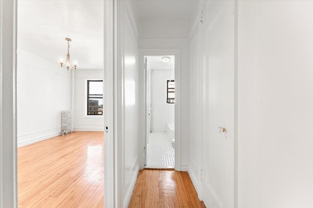 hall featuring radiator, light wood-type flooring, and a chandelier