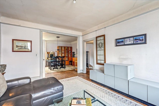 living area featuring wood finished floors