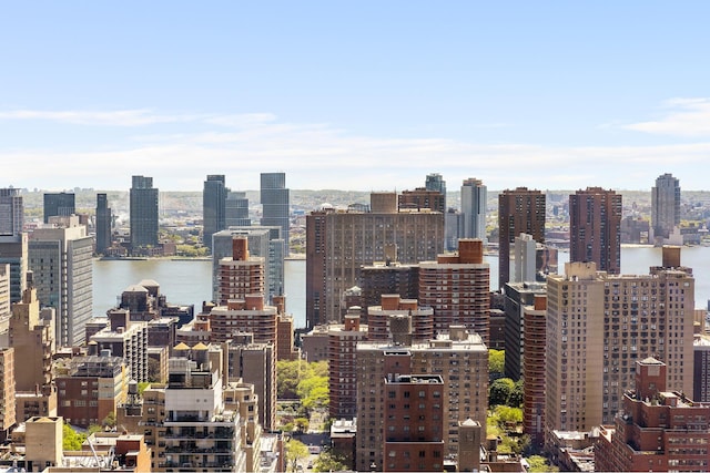 city view with a large body of water