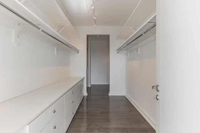 spacious closet with dark wood-style flooring