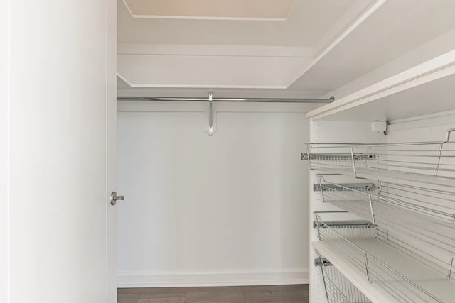 spacious closet featuring wood finished floors