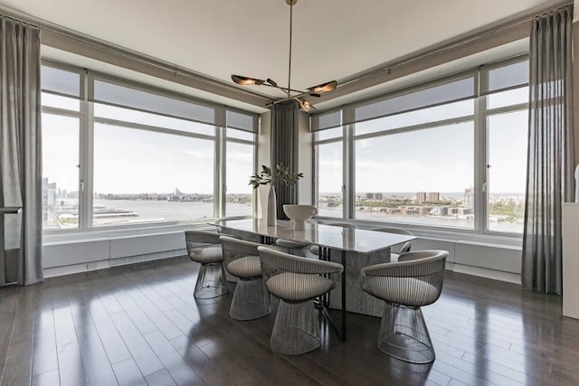 dining area with dark wood finished floors, a water view, and a city view