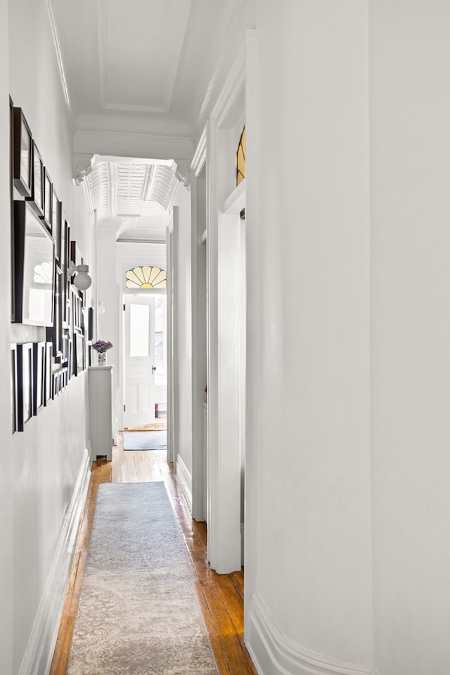 corridor with wood-type flooring