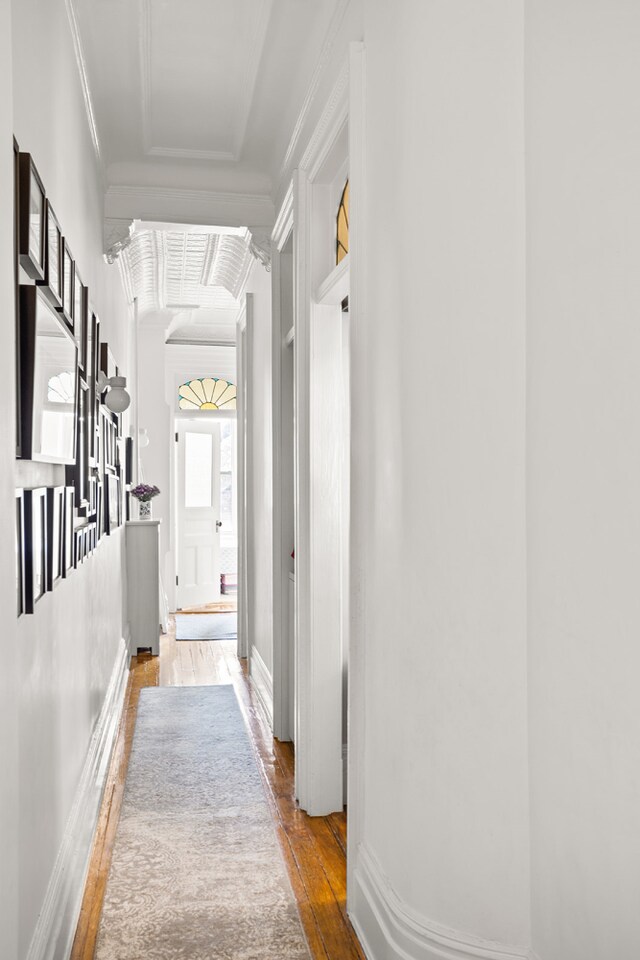 hall featuring wood-type flooring and ornamental molding