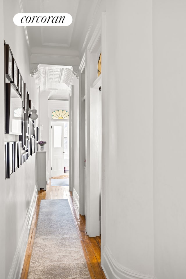 corridor with hardwood / wood-style floors